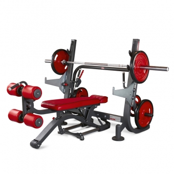 OLYMPIC MULTI BENCH / 1HP206