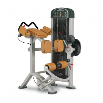 STANDING LEG CURLING / 1XPL084